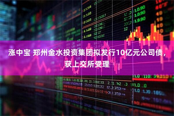 涨中宝 郑州金水投资集团拟发行10亿元公司债，获上交所受理