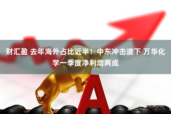 财汇盈 去年海外占比近半！中东冲击波下 万华化学一季度净利增两成