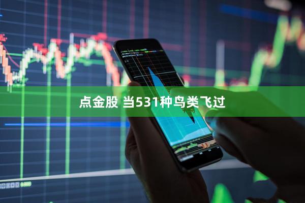 点金股 当531种鸟类飞过