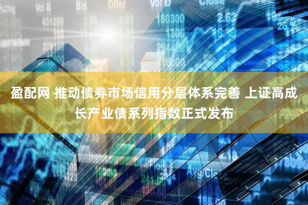 盈配网 推动债券市场信用分层体系完善 上证高成长产业债系列指数正式发布