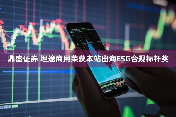 鼎盛证券 坦途商用荣获本站出海ESG合规标杆奖